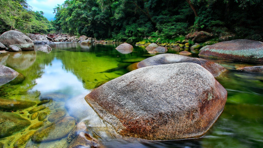 A creek filled with boulders in Mossman Gorge in the Daintree rainforest