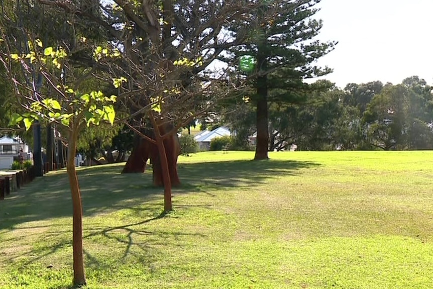 A reserve with manicured green grass and trees