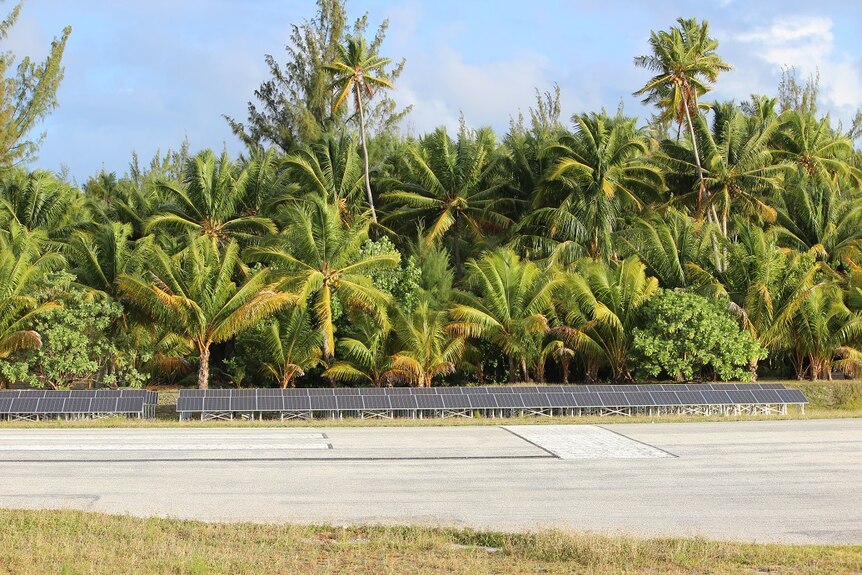 A row of solar panels with coconut trees behind, next to Tetiaroa's runway