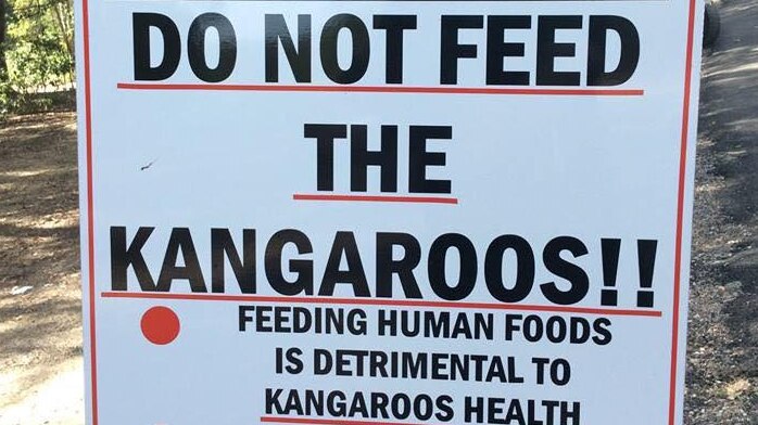 A sign says in big capital letters DO NOT FEED THE KANGAROOS!!