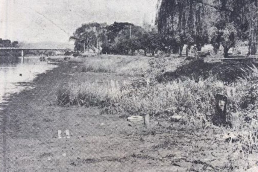 A black and white photo showing a river and grassy foreshore area, with a few trees.