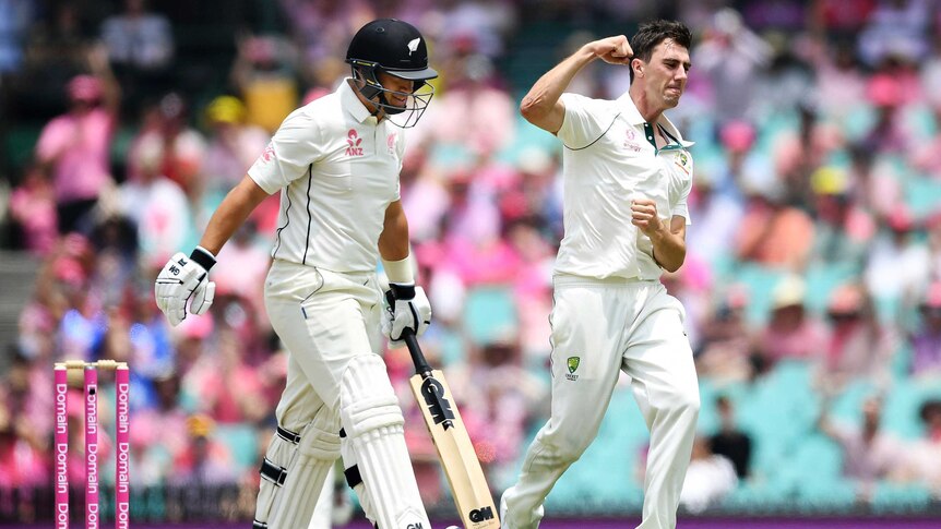 Pat Cummins celebrates the wicket of Ross Taylor by pumping his fist as Taylor walks off