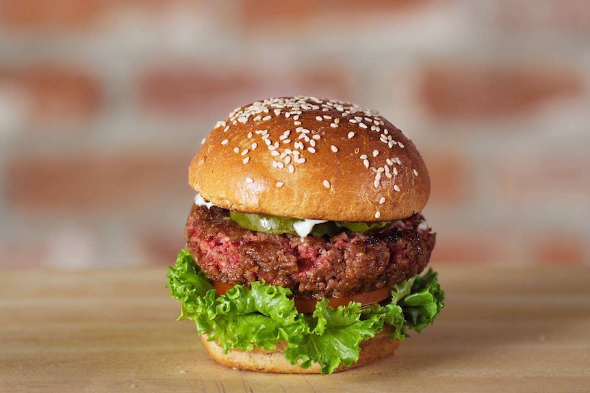 A burger pattie made out plant-based protein.