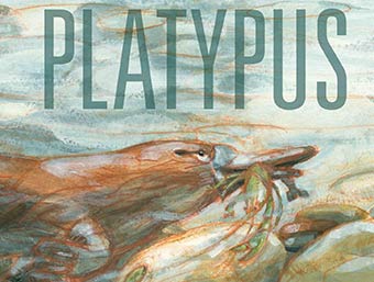 Playpus book cover