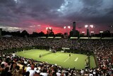 Tennis Australia has denied attempting to cover up the assault. (File photo)