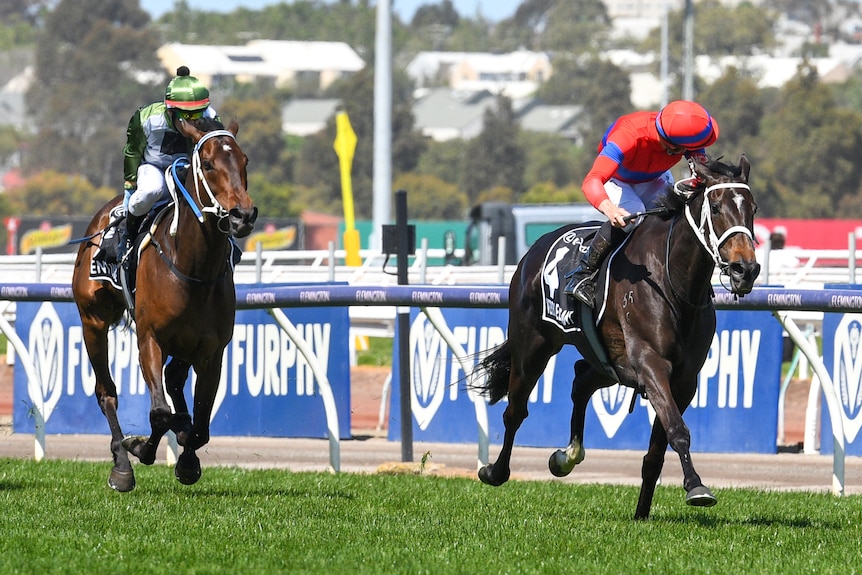 Verry Elleegant, ridden by a jockey in red silks, runs in front of Incentivise, ridden by a jockey in green silks