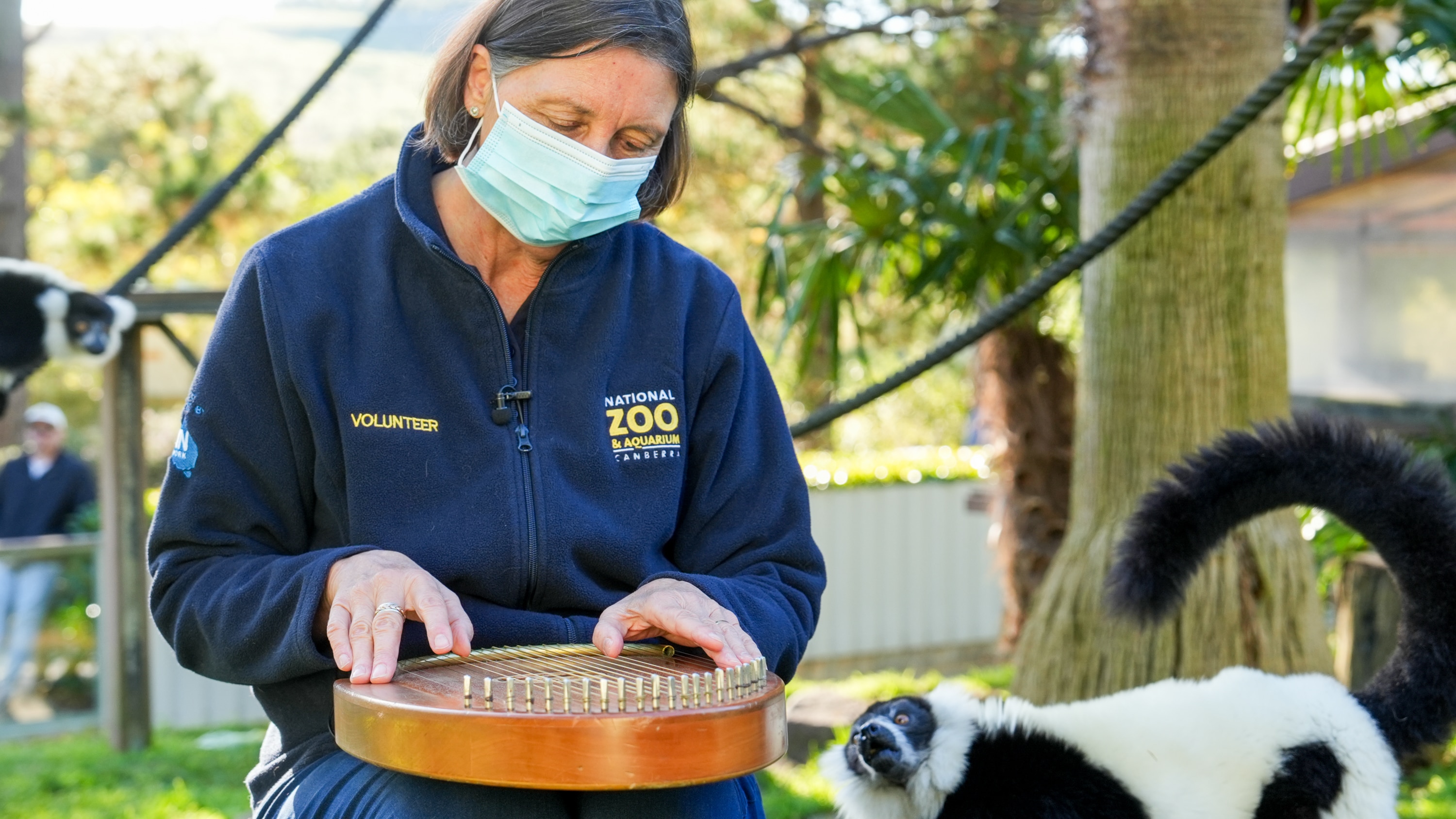 A woman playing a harp beside a lemur.