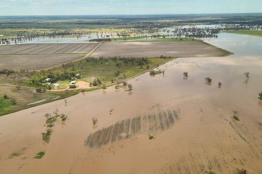 An aerial shot of a vast area submerged in floodwater.