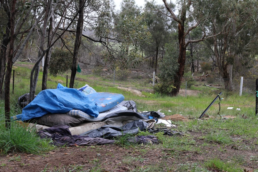 Mattresses in the bush.