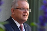 Scott Morrison is seen speaking at a lectern. Some plants are in the foreground.