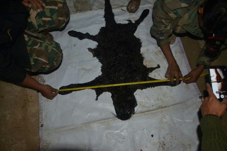 Medium shot of soldiers measuring an animal skin.