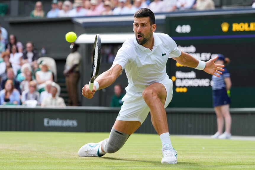 Novak Djokovic goes down on one knee on the grasscourt to hit a backhand return at Wimbledon.