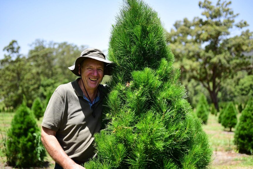 Male farmer standing next to a pine tree