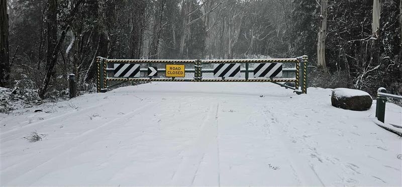 Snow cover in Donna Buang