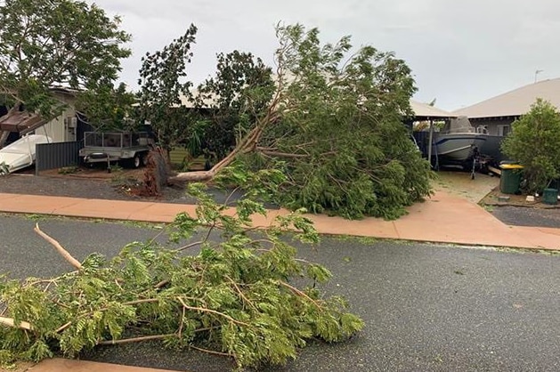 A large tree uprooted outside a house and a tree branch on the road in front.