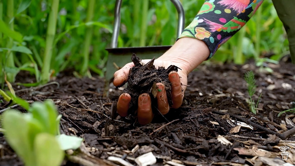 Hannah scooping up soil from the ground in her vegie patch.