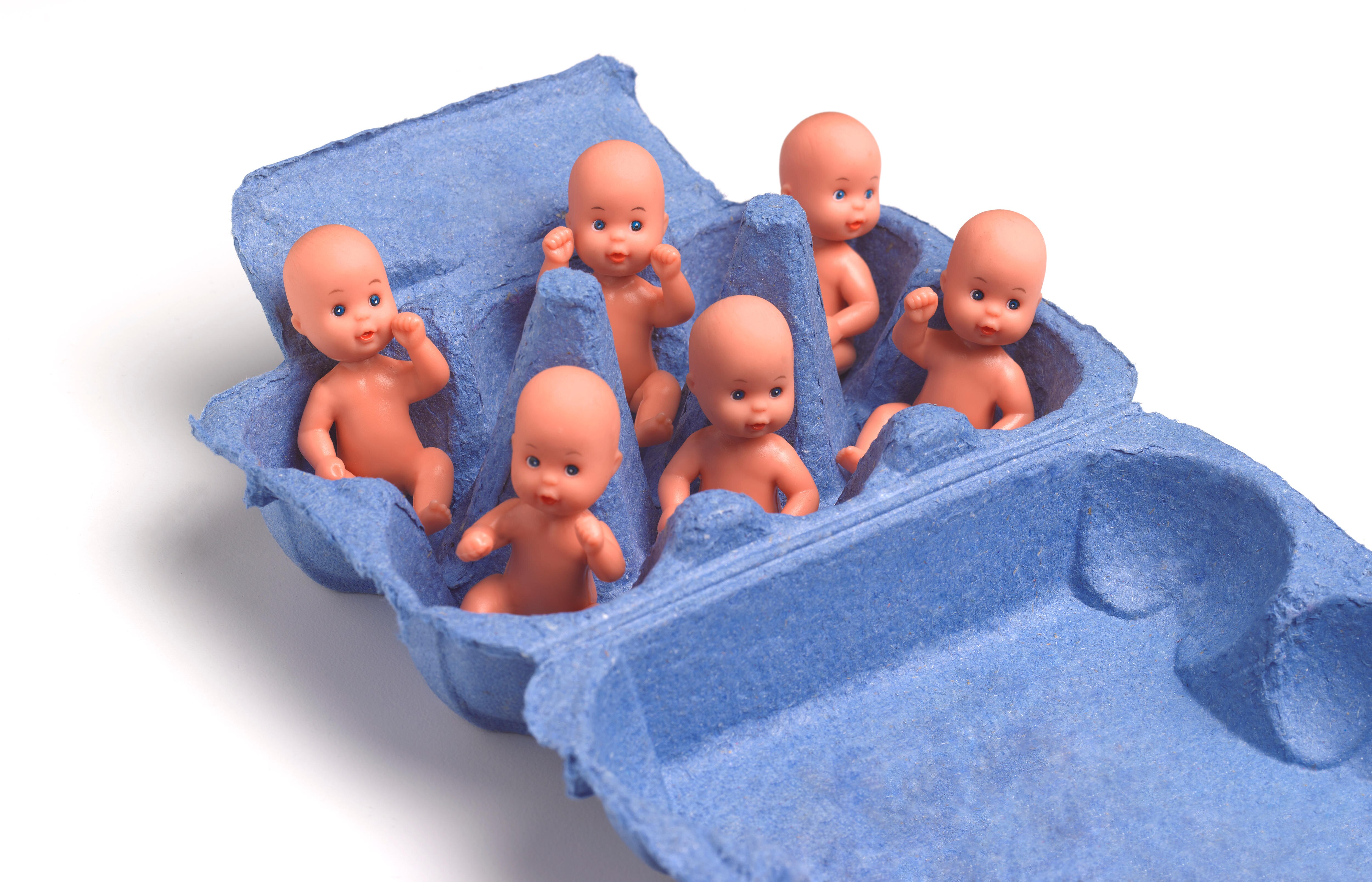 Six figurines of babies in an egg carton