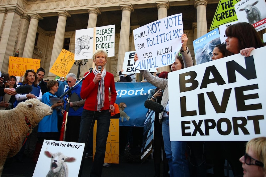 Lyn White addresses a live animal export trade rally outside the Victorian Parliament