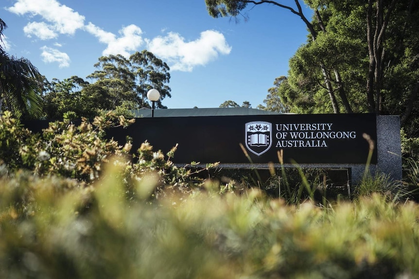 Green shrubbery around a sign that says University of Wollongong