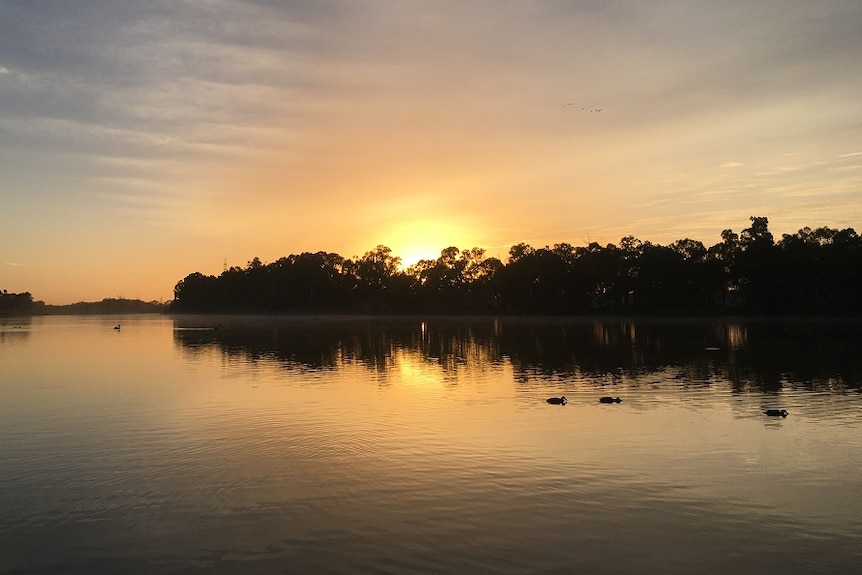 A still River Murray as the sun rises