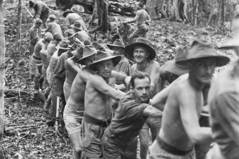 A black and white image of Australian soldiers, mostly shirtless, pulling a gun through jungle.