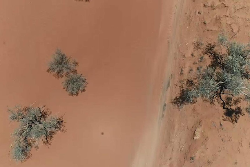 A bird's eye view of the dry land in the Millewa.