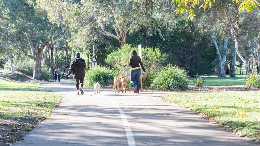 People walking along a parklands linear path with their dogs