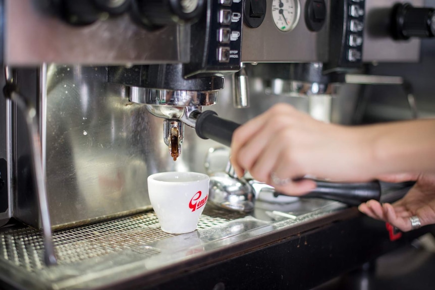 A cafe worker makes a cup of coffee.