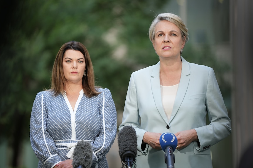 Tanya Plibersek and Sarah Hanson-Young hold a press conference in a courtyard at Parliament House.