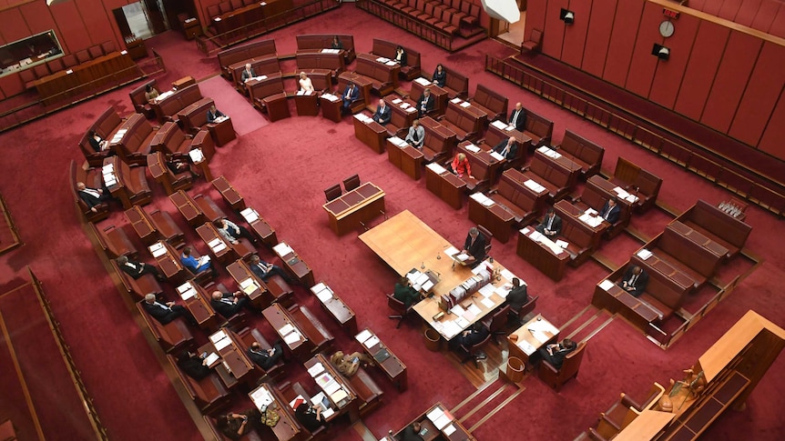 The Senate chamber at Parliament House