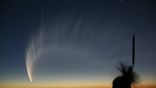 Photo shows Comet McNaught in the night sky.