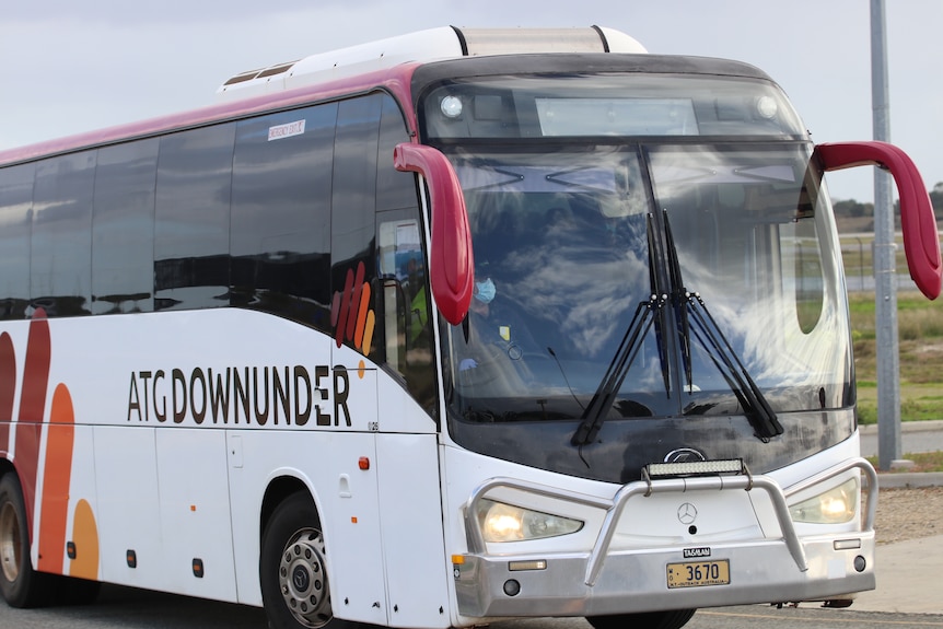 A bus being driven by a man wearing a face mask