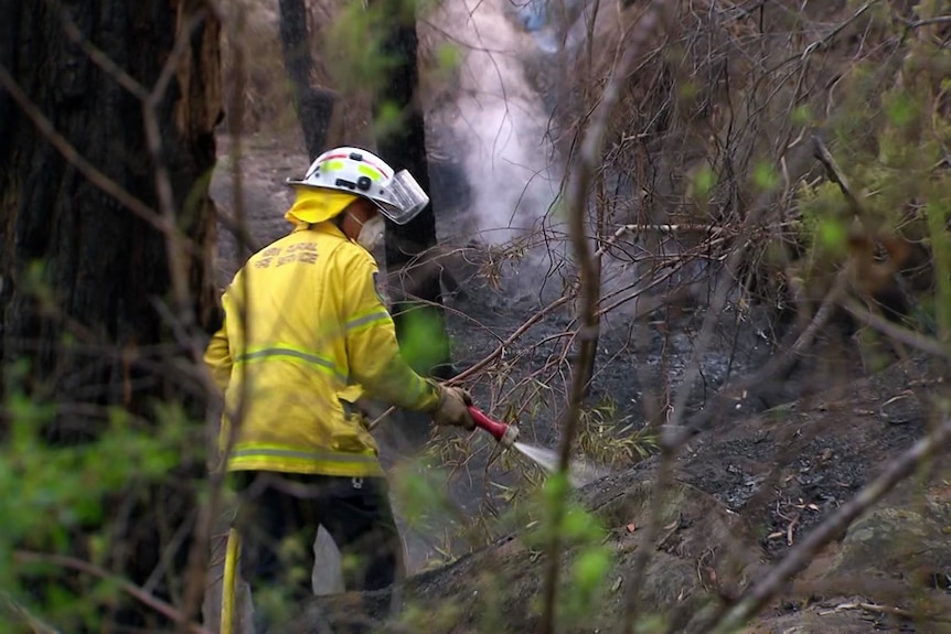 firefighter with hose in bushes