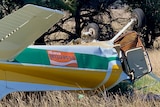 Close up of a small plane upside down in the field.