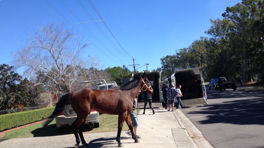 They are evacuating stables at the Caloundra racecourse because of the fire threat