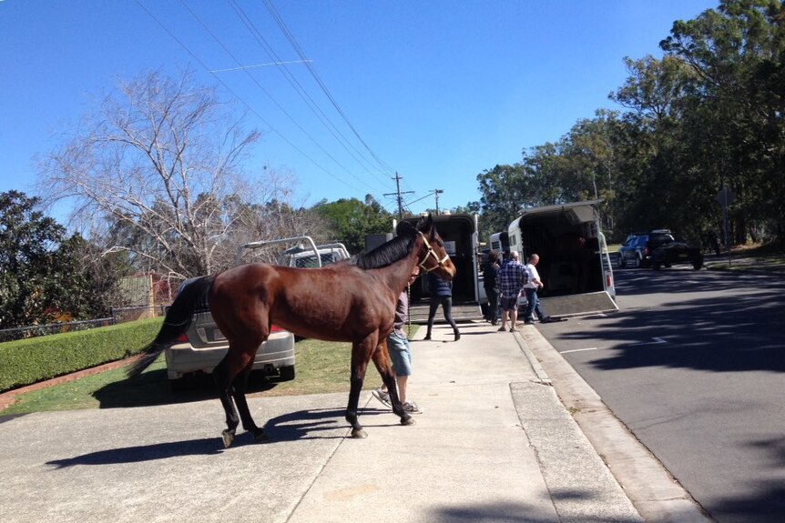 They are evacuating stables at the Caloundra racecourse because of the fire threat