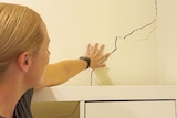 A woman faces a wall with her arm outstretched to examine a crack in the wall.