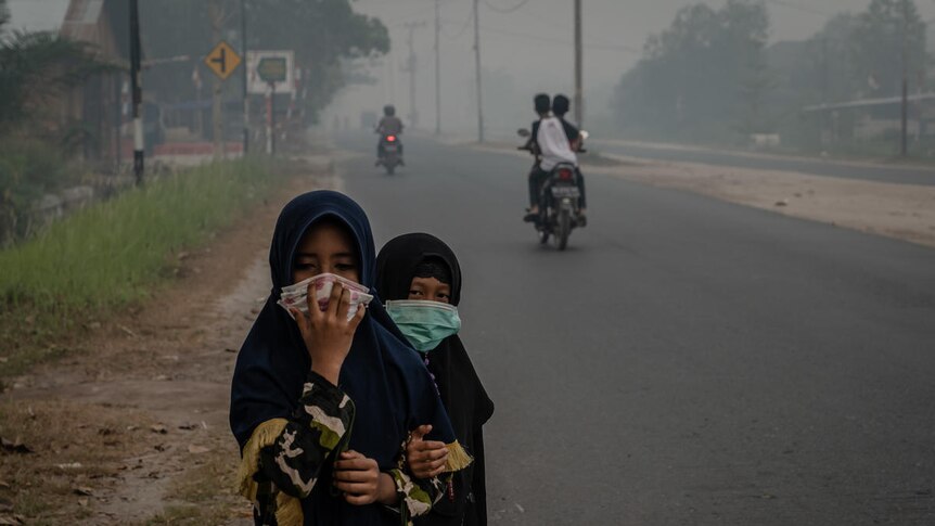 Two girls wear protective masks as they walk along a road shrouded in haze from the peat fires.