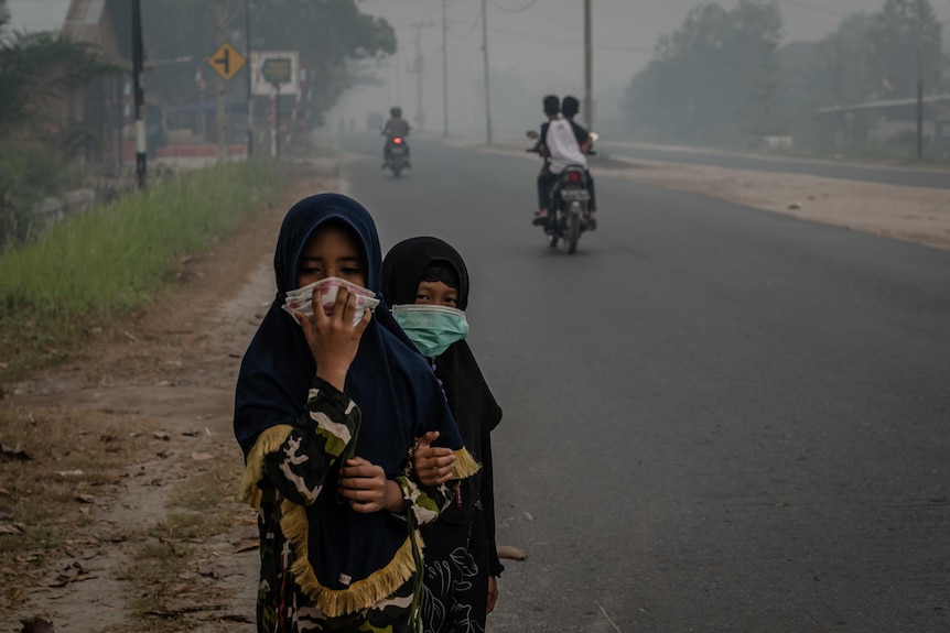 Two girls wear protective masks as they walk along a road shrouded in haze from the peat fires.
