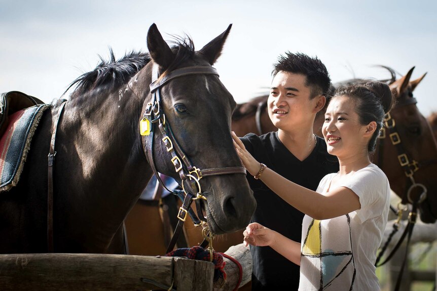 Two Chinese tourists pat horses