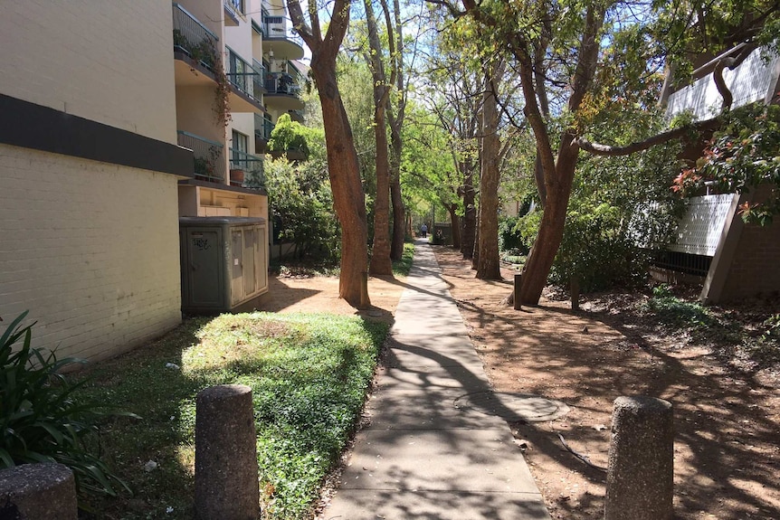 A leafy walkway off Giles street in Kingston, Canberra.