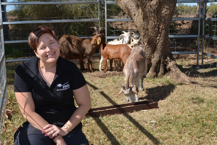 MLA's Julie Petty sitting in a paddock with goats