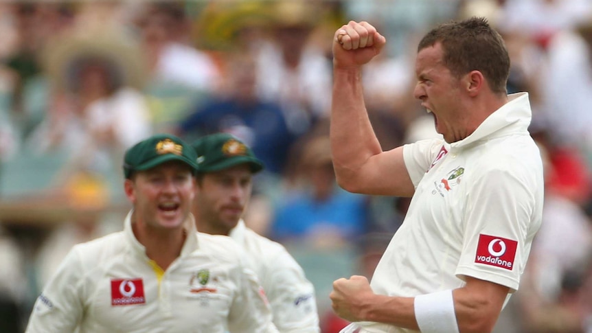 Peter Siddle put in a mammoth effort to nearly grab victory for Australia in the drawn Adelaide Test.