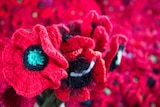 a bouquet of crochet red poppies