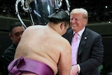 Trump smiles as he hands over giant silver trophy to Japanese sumo wrestler.