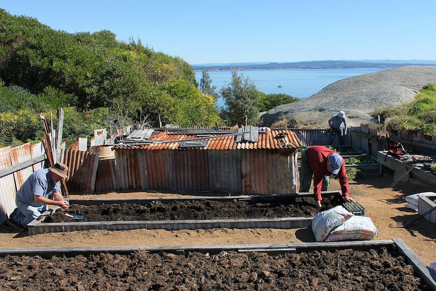 Gardeners from the Australian Garden History Society at Montague Island