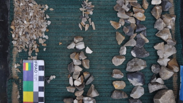 Hundreds of small sharp rock-like objects laid out.