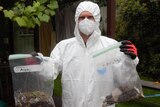 A man in a white hazmat suit with mask holding two sandwich bags labelled 'asbestos'