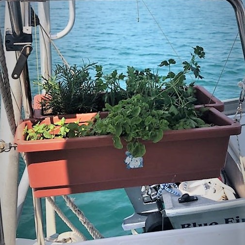 Two long herb-pots strapped to railings of a boat.