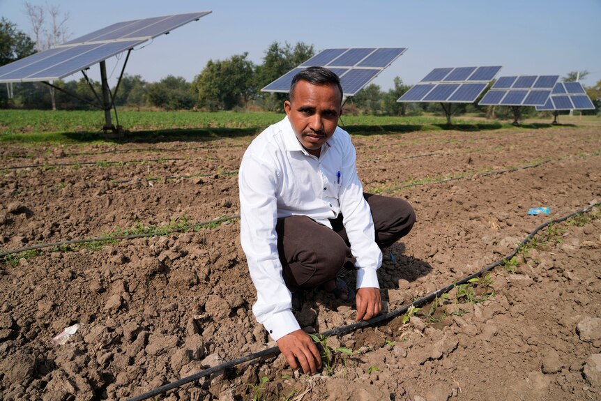 A farmer shows drip irrigation run by solar panels.